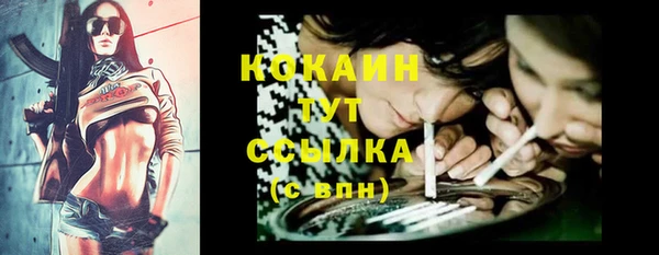 спайс Алексин