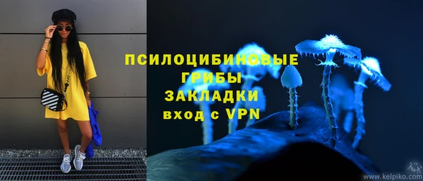 2c-b Абдулино