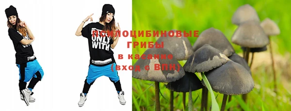 2c-b Абдулино