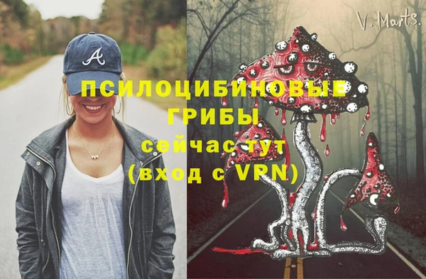 2c-b Абдулино