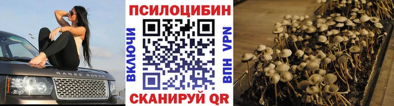 цена наркотик  Алатырь  Псилоцибиновые грибы мухоморы 